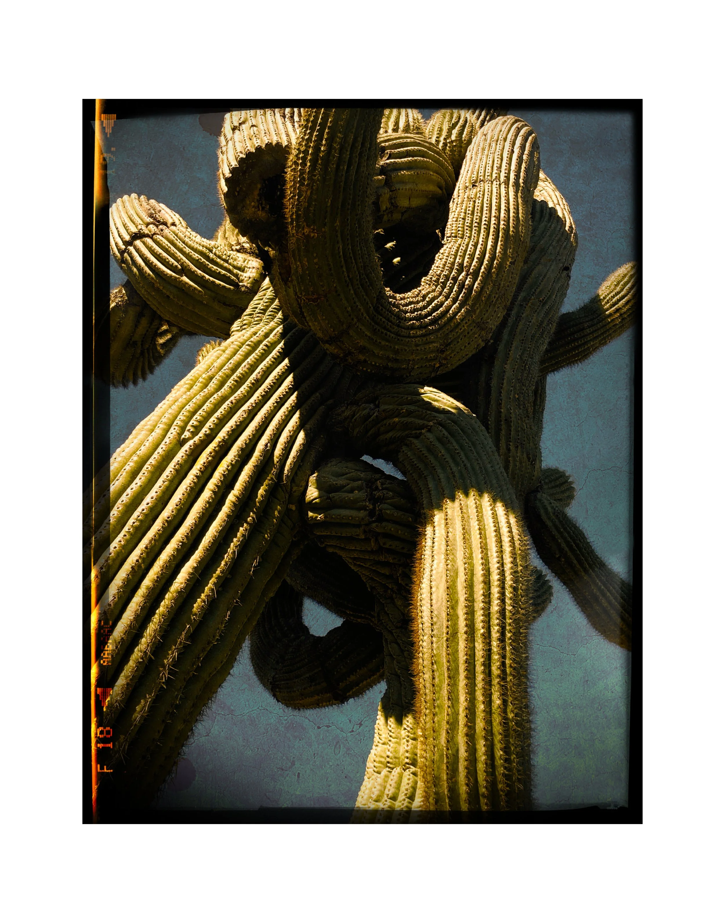 260708 Yavapai Arms (Color Reproduction)