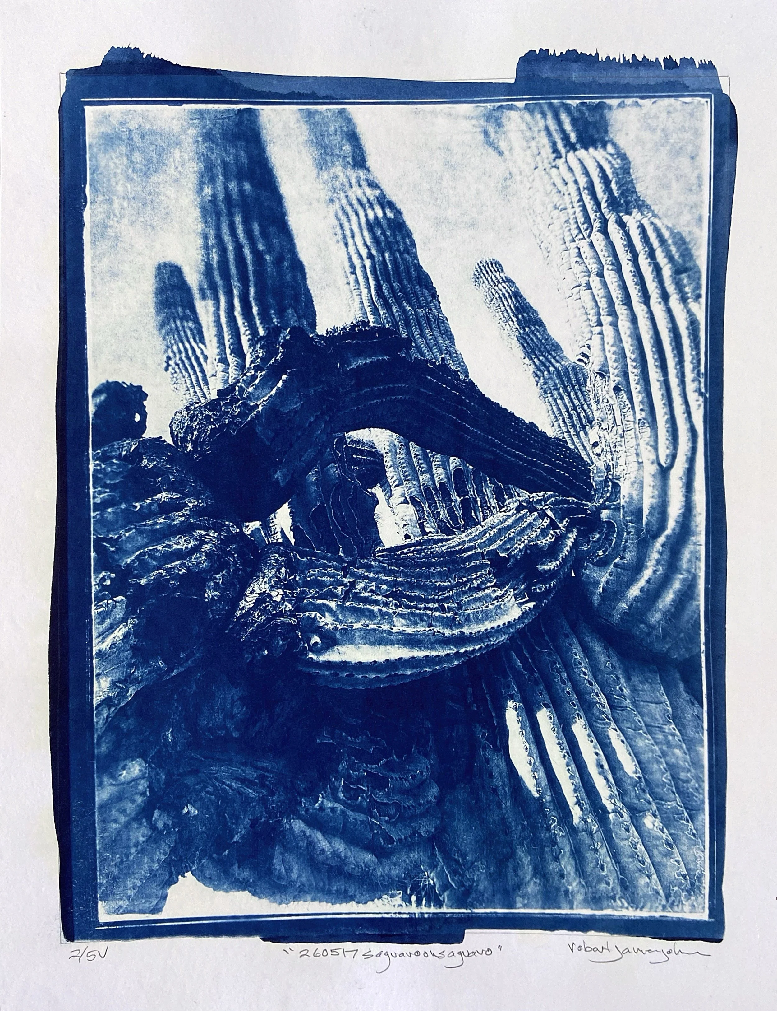 260517 Saguaro on Saguaro (P2:5).jpg