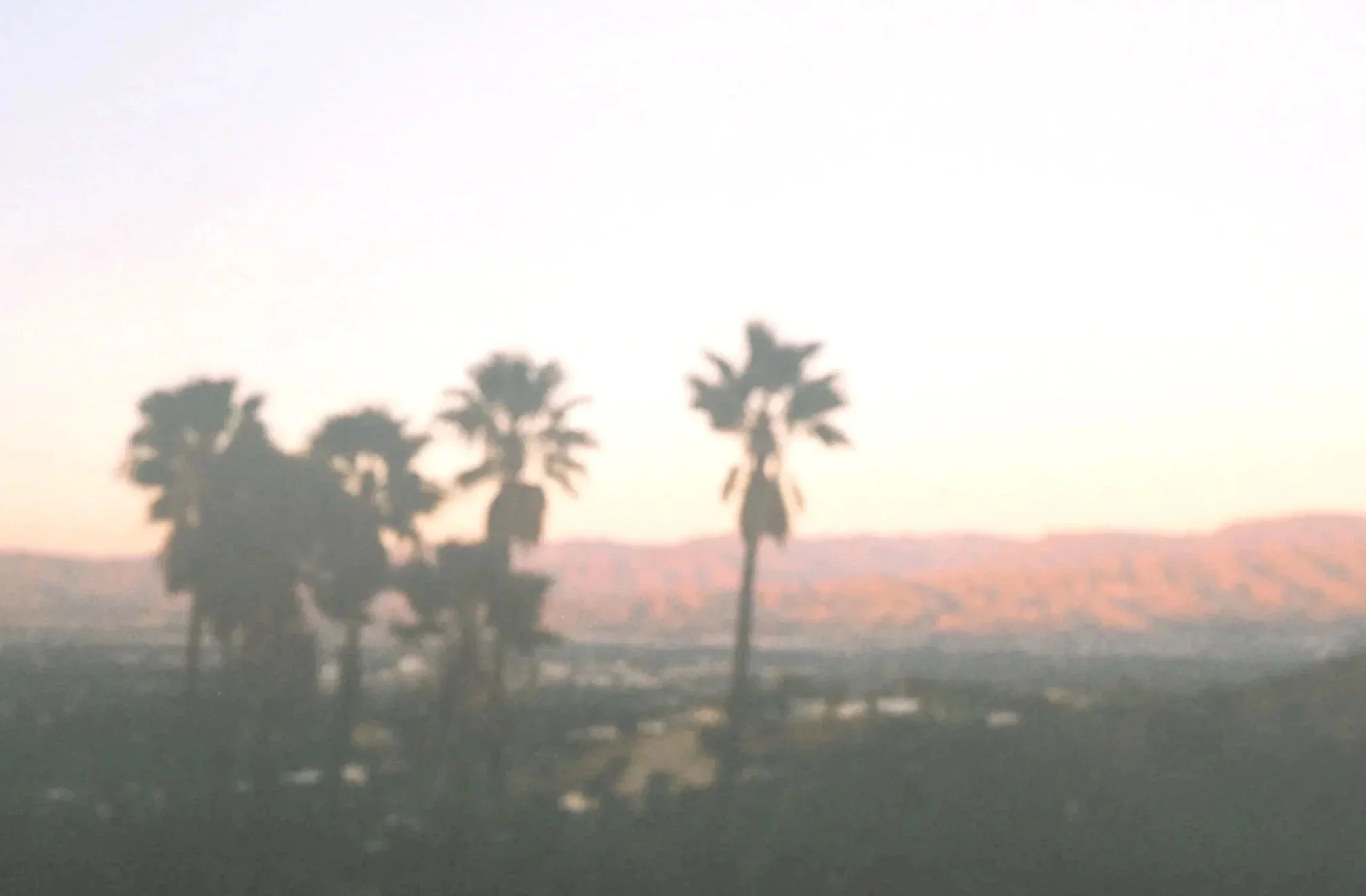 Blurred image of palm trees against a hazy sky, with distant hills in the background.