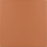 _Equipe_Rivoli-Terre-20x20-6818ece2.jpg