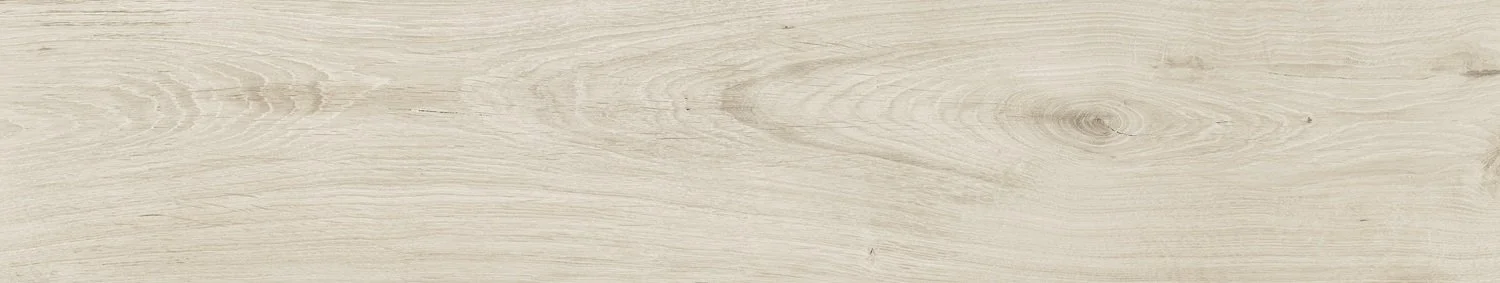 QUERCUS BETULLA 45X120_C7_13 neu.jpg