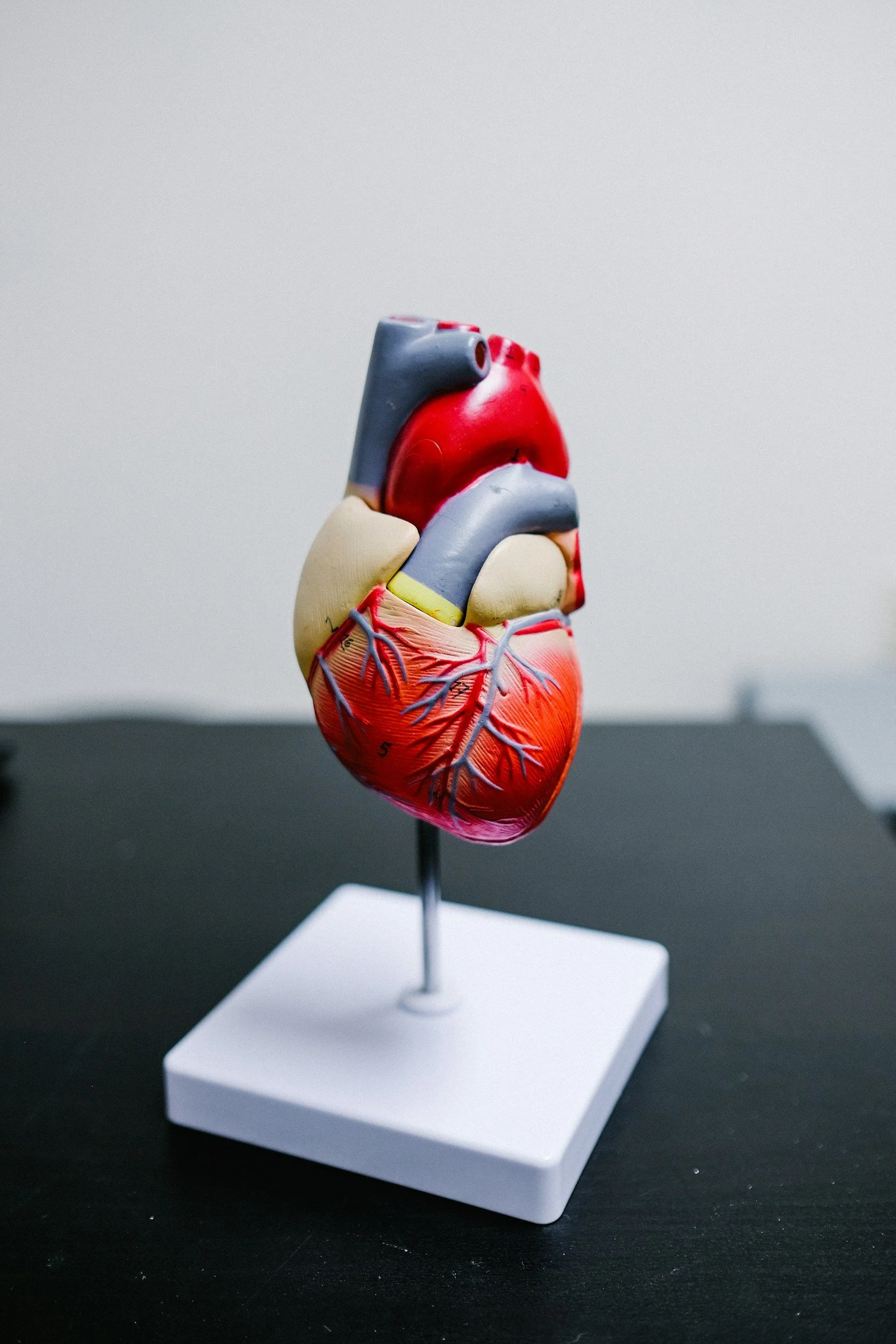 HDL Cholesterol - Is Having More Enough?