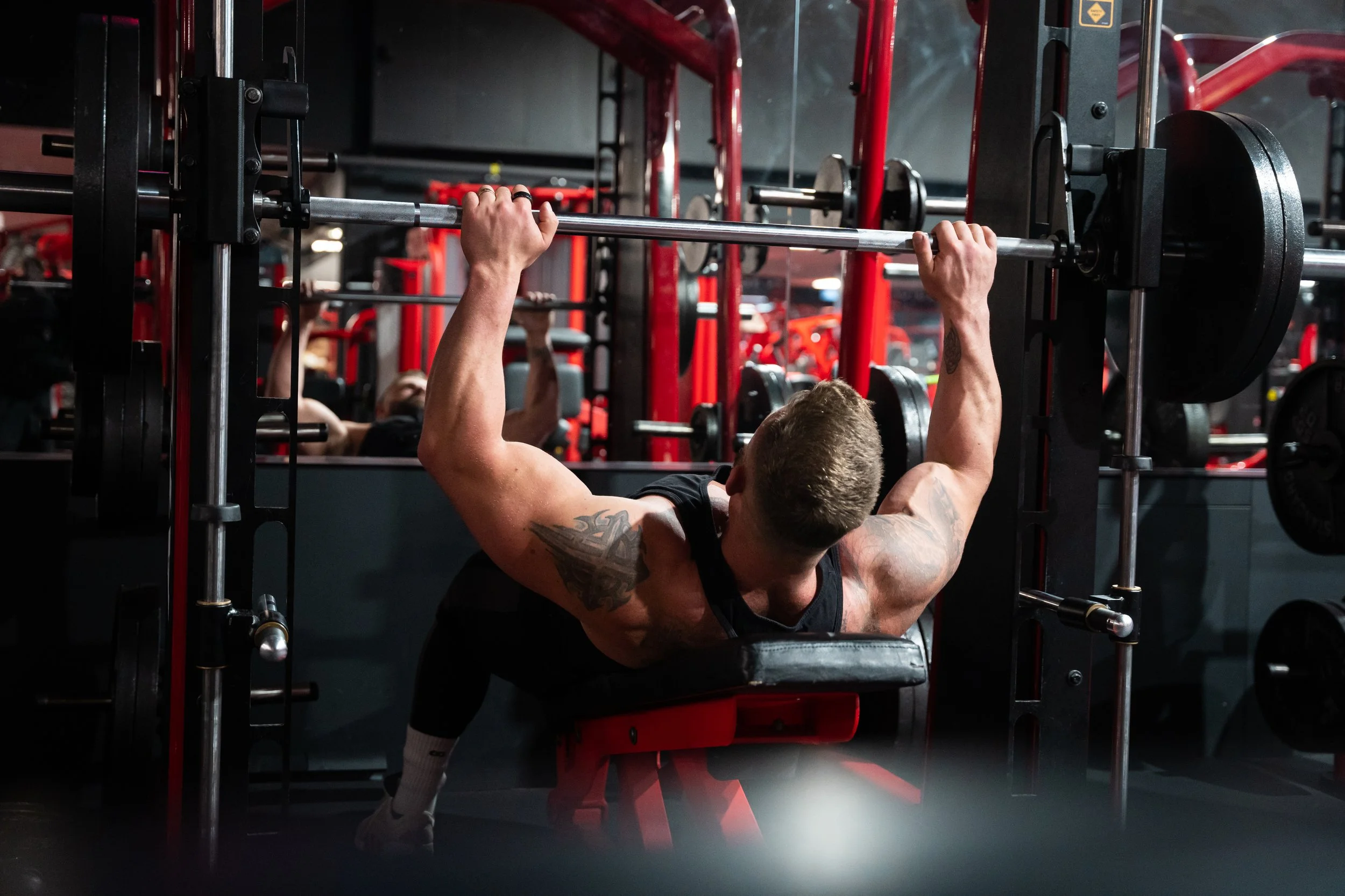 How Fast Should Your Strength Gains Be?