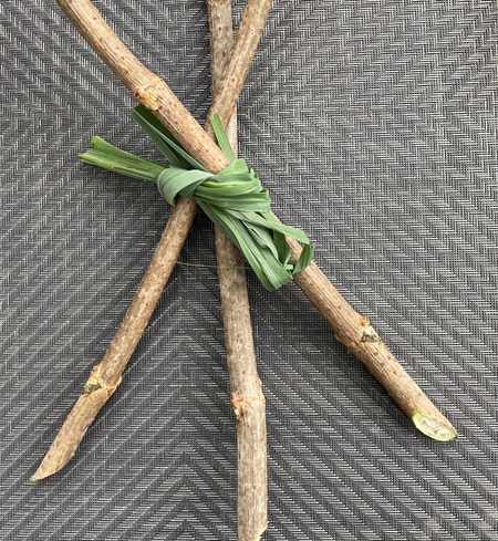 elderberry+cutting.png