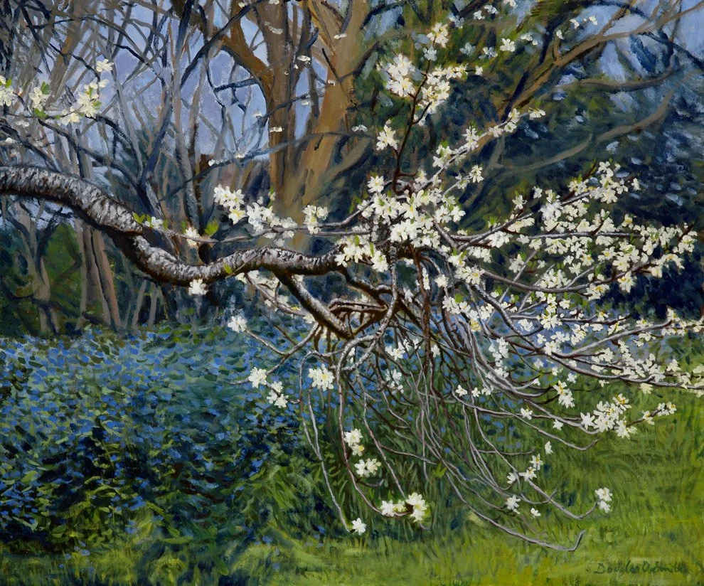 Plum Blossoms - Douglas Oliver Smith.jpg