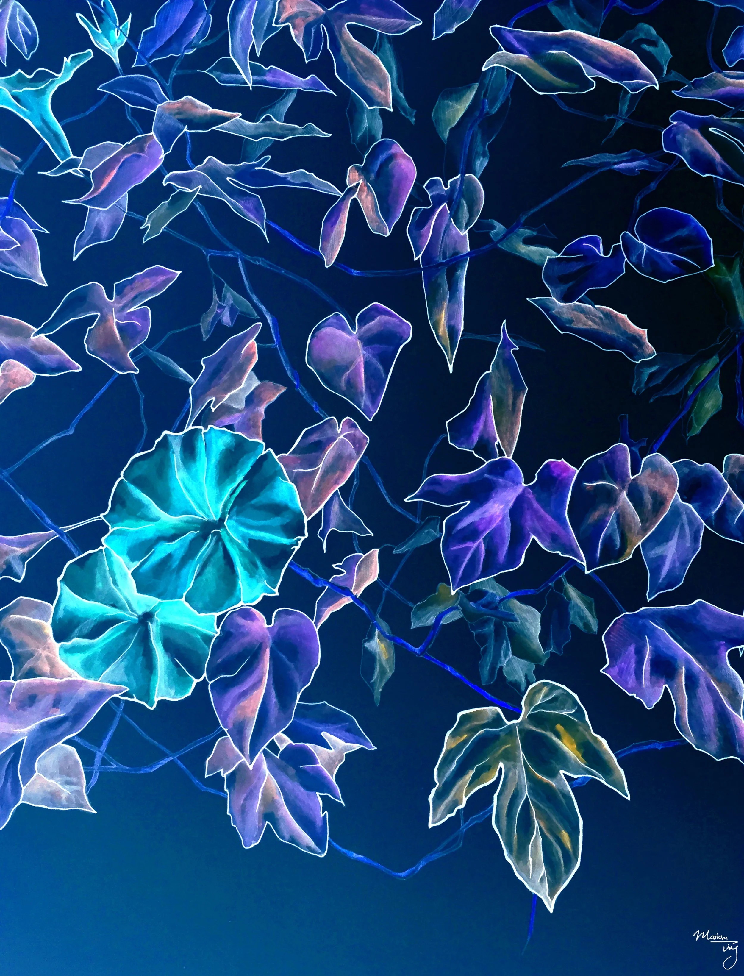 Flower_Invert 11.17.jpg