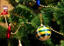 Caterer Needed for Ukrainian New Year (Malanka) Banquet