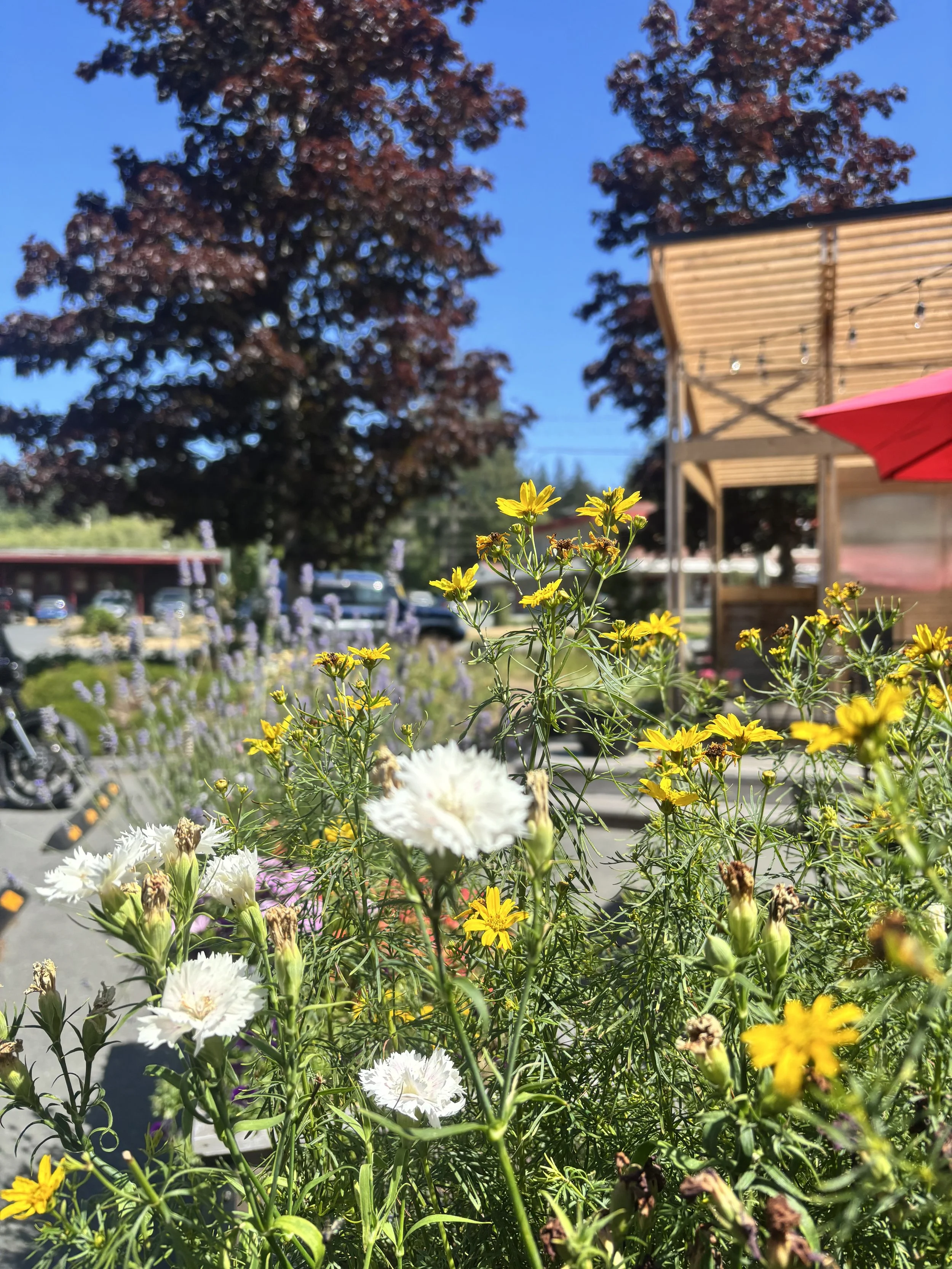 Quadra Island Adventure