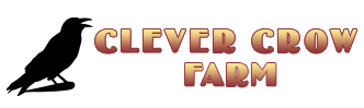 Clever Crow Farm logo in gradient pink and purple text on black background.