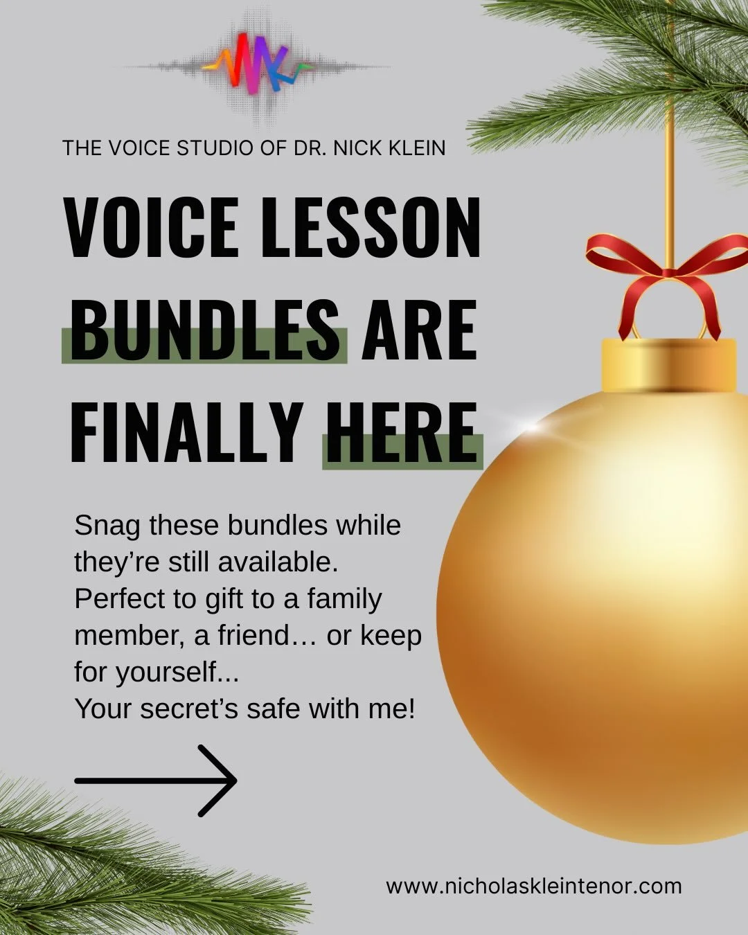 🎄 It&rsquo;s TIIIIIIIIIME!!! Let&rsquo;s talk singing&mdash;and a seriously good holiday deal. 🎤✨

This year, I&rsquo;m offering private lesson bundles, and it&rsquo;s the best value I&rsquo;ll offer on 1-on-1 voice lessons all year. If you&rsquo;v