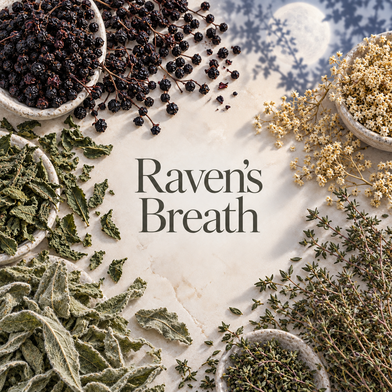 💙 Raven’s Breath