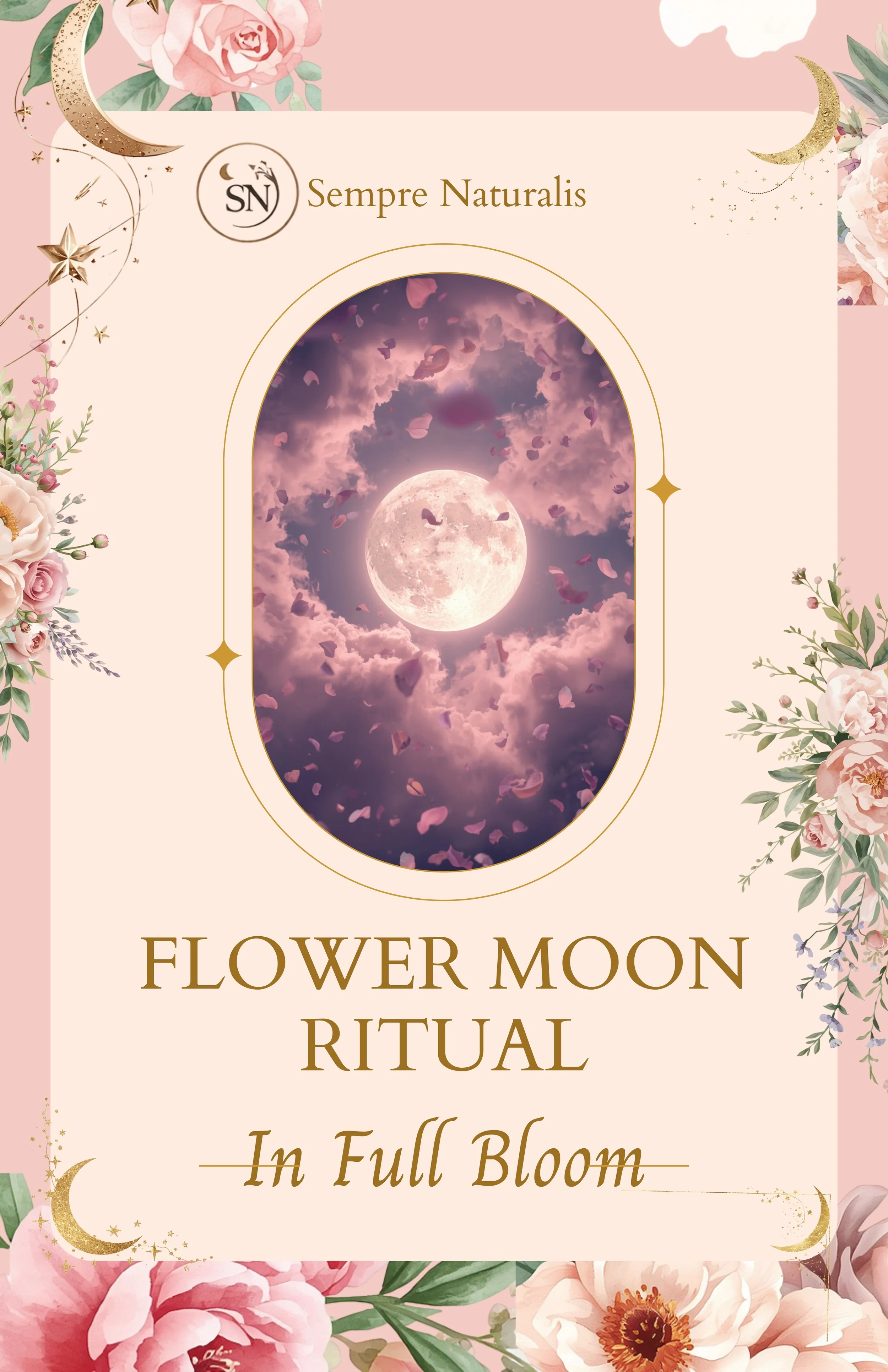 Front Cover.jpg
