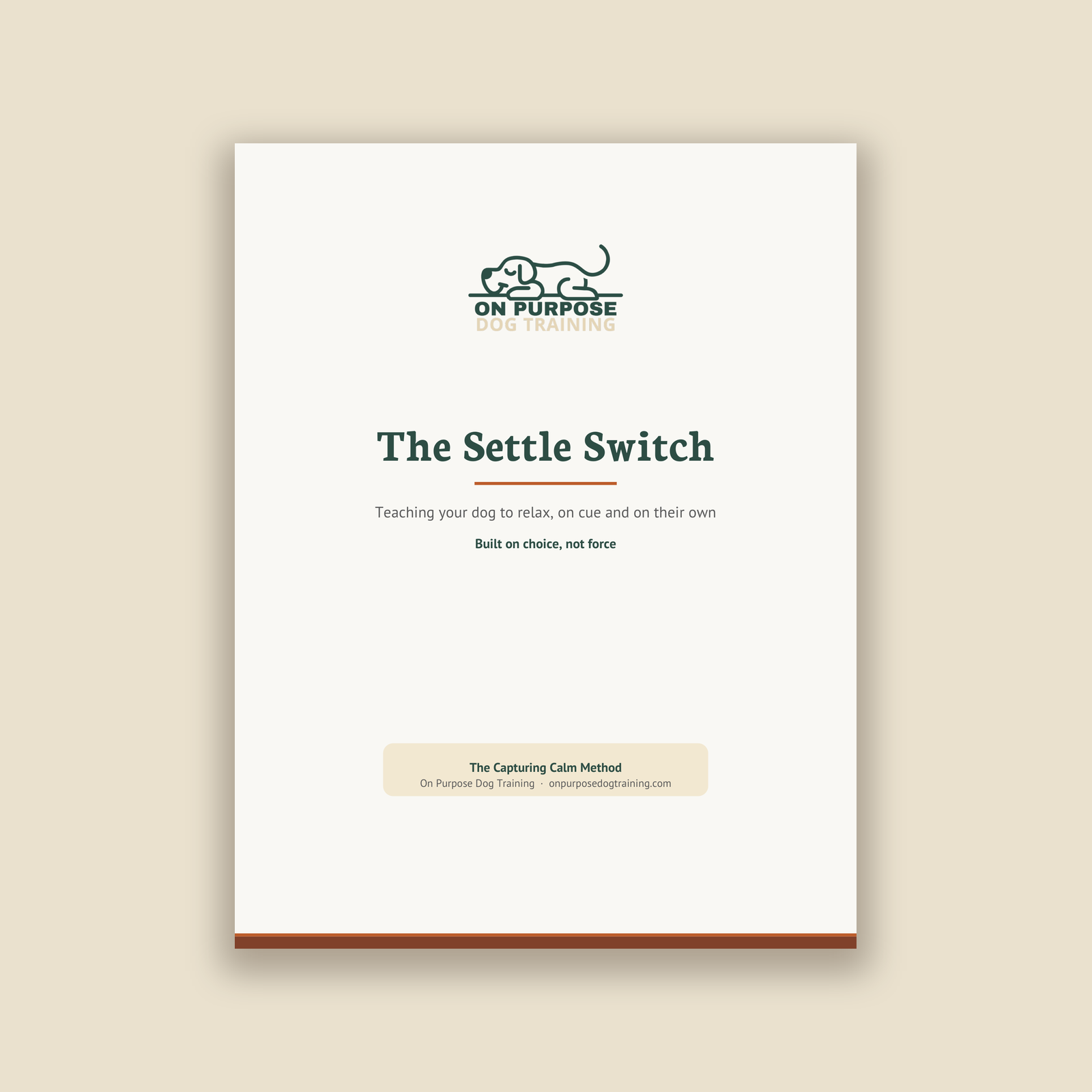 The Settle Switch: Teaching Your Dog to Relax