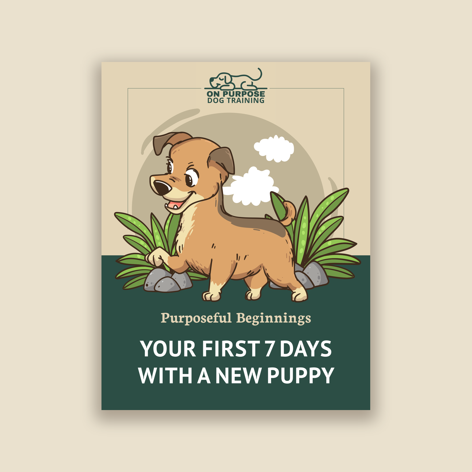 Purposeful Beginnings: Your First 7 Days With a New Puppy