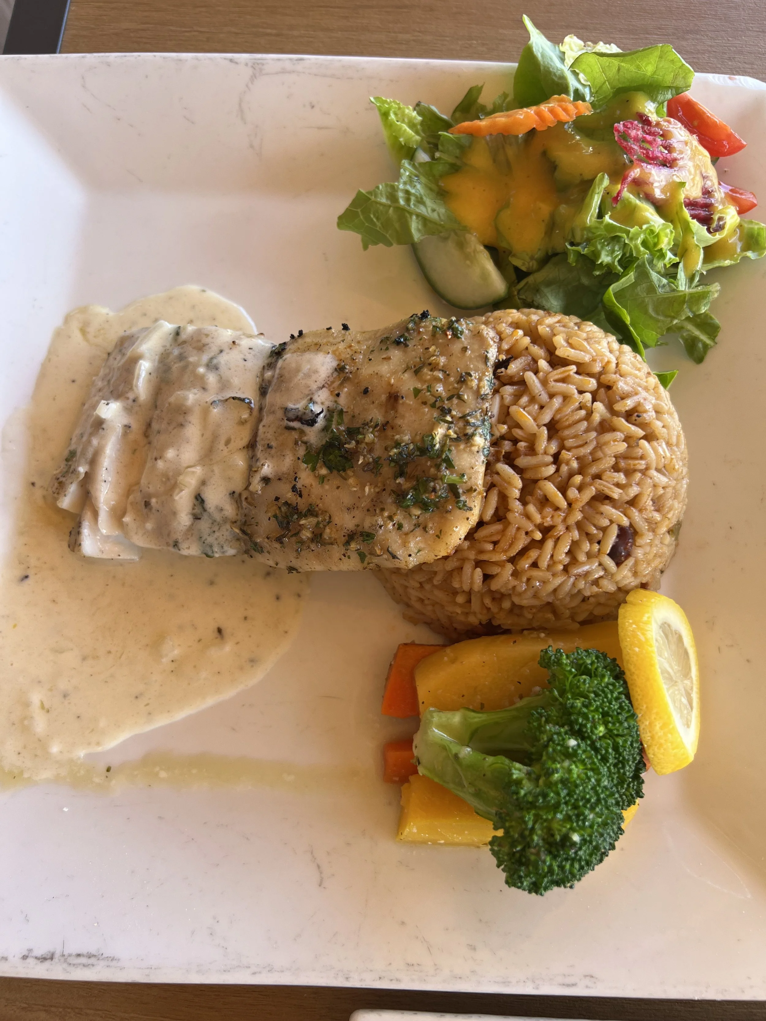 Cockleshell Bay St Kitts beaches view from Spice Mill Restaurant with grilled mahi mahi and lemon butter.