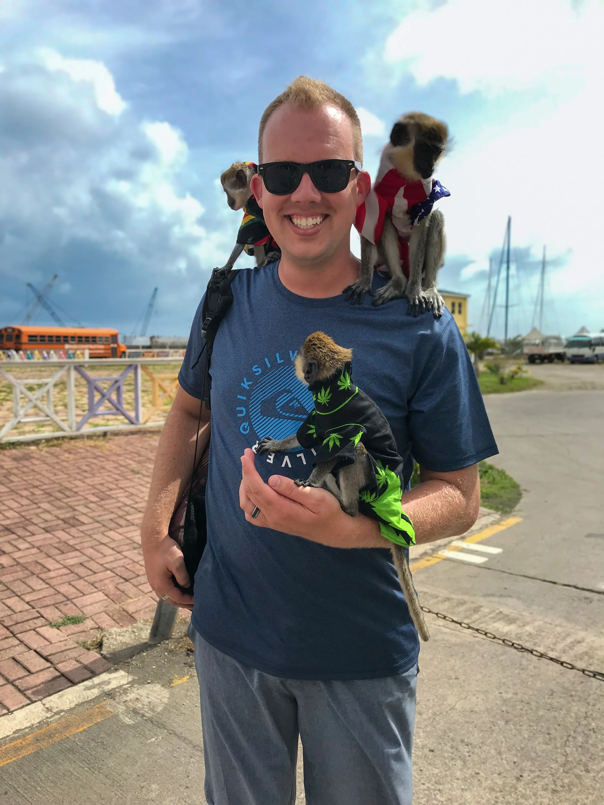Perfect 7 Day St Kitts Itinerary with monkeys