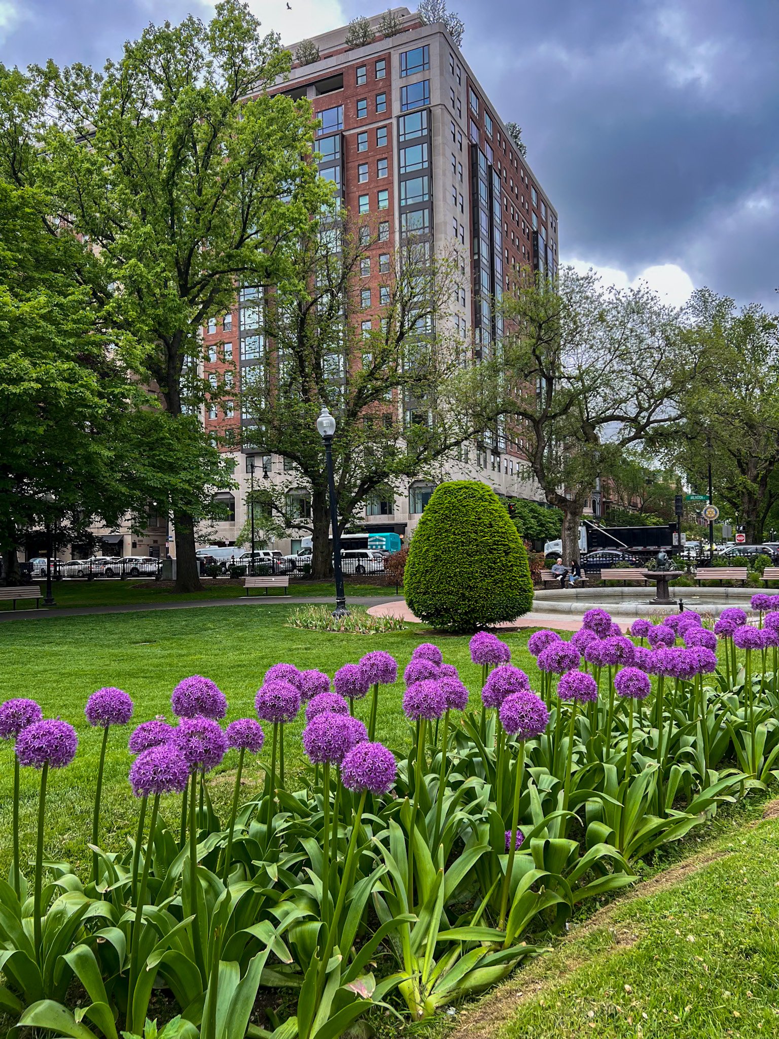 Boston spring flowers – 7 Day Boston Itinerary