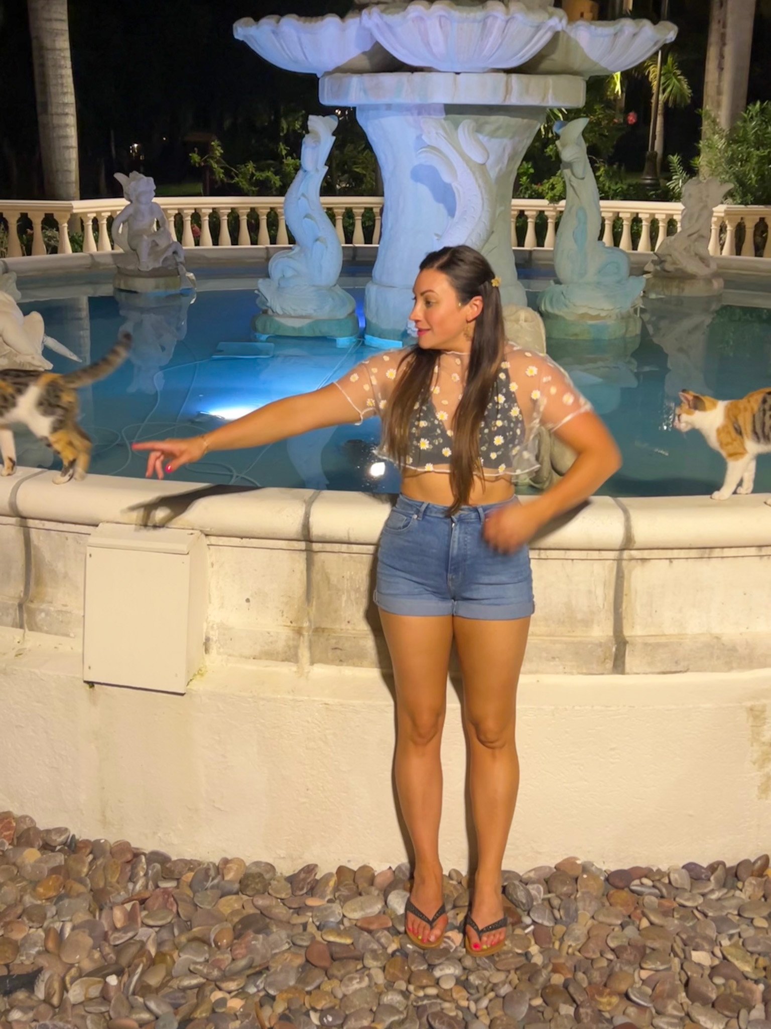 Sandals all-inclusive Antigua-cats