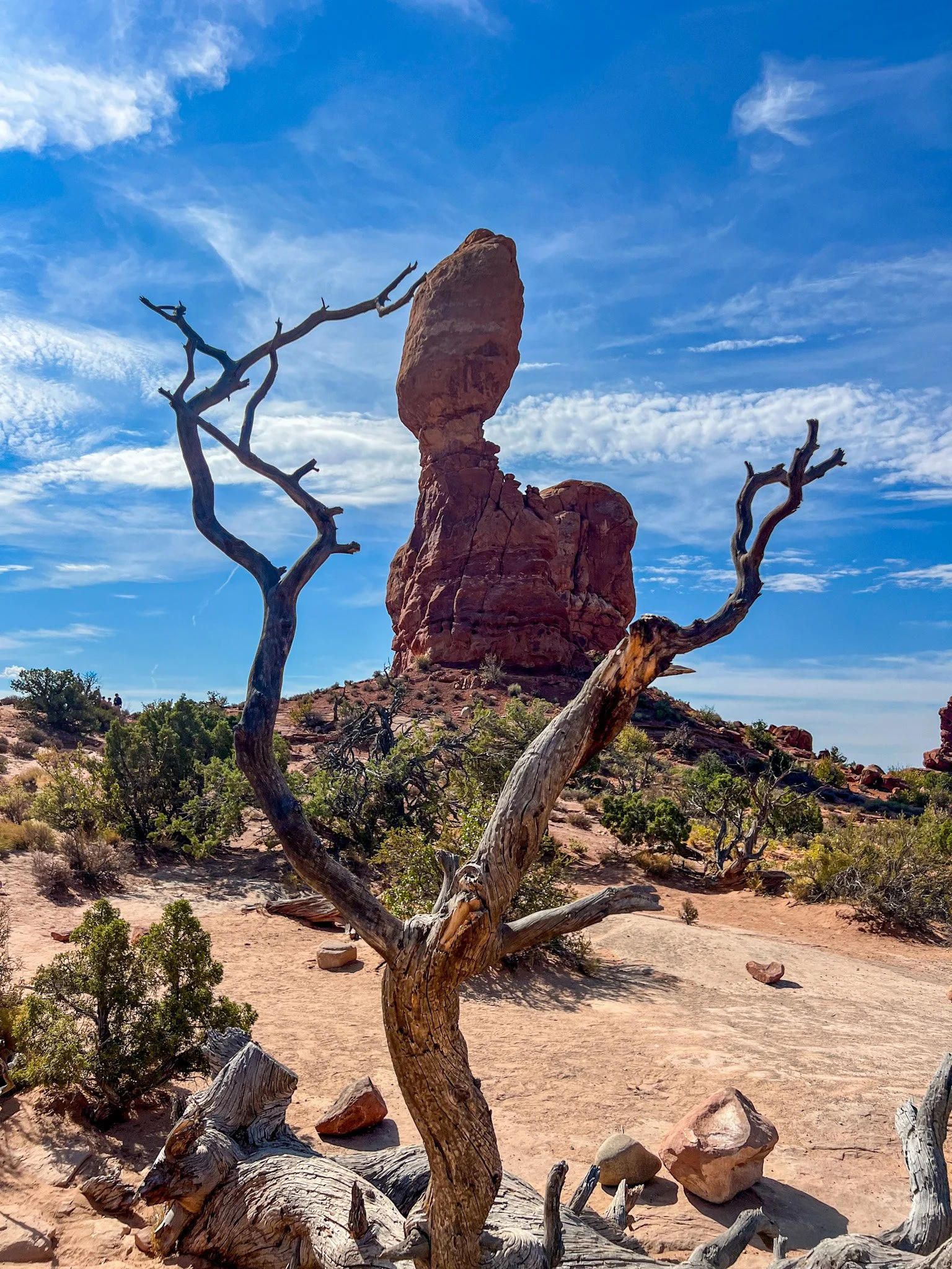 Balanced Rock viewpoint from parking area, stops to make in Arches National Park if you can’t hike