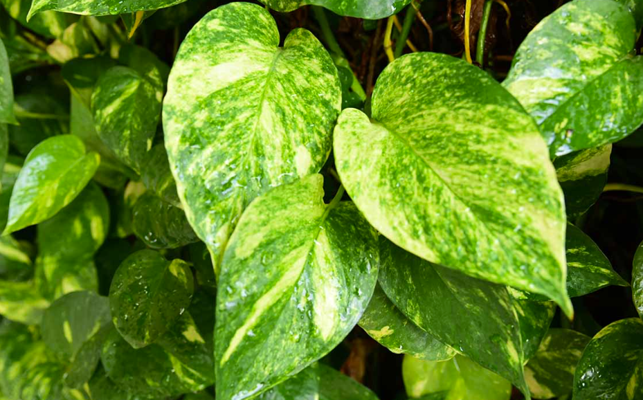 Screenshot 2025-12-30 112427.png