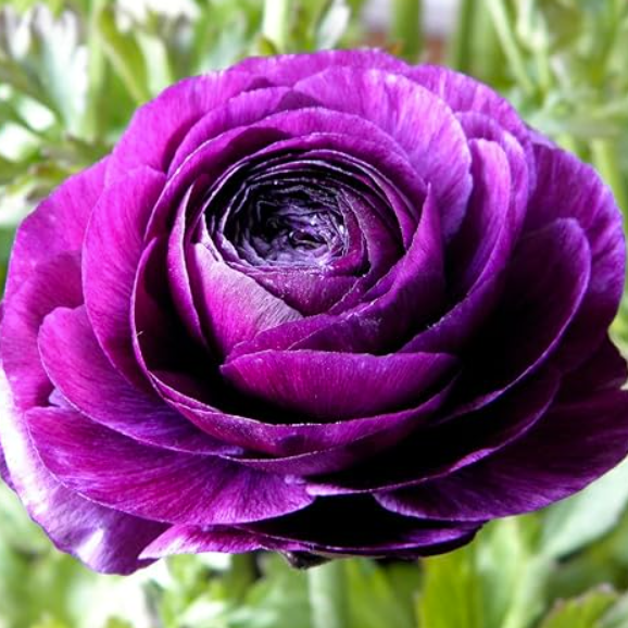 Screenshot 2025-11-25 042257.png