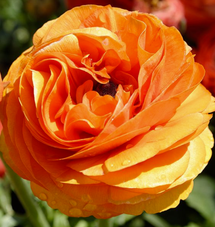 Screenshot 2025-11-25 043217.png