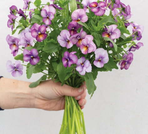 Screenshot 2025-10-24 194913.png