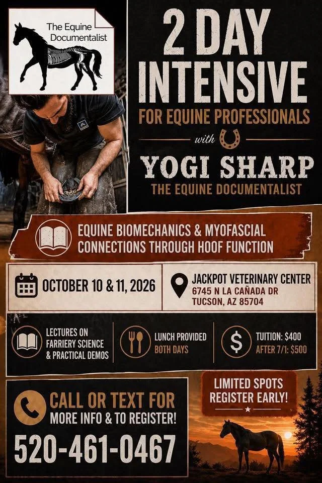 2 Day Intensive for Equine Professionals with Yogi Sharp, The Equine Documentalist