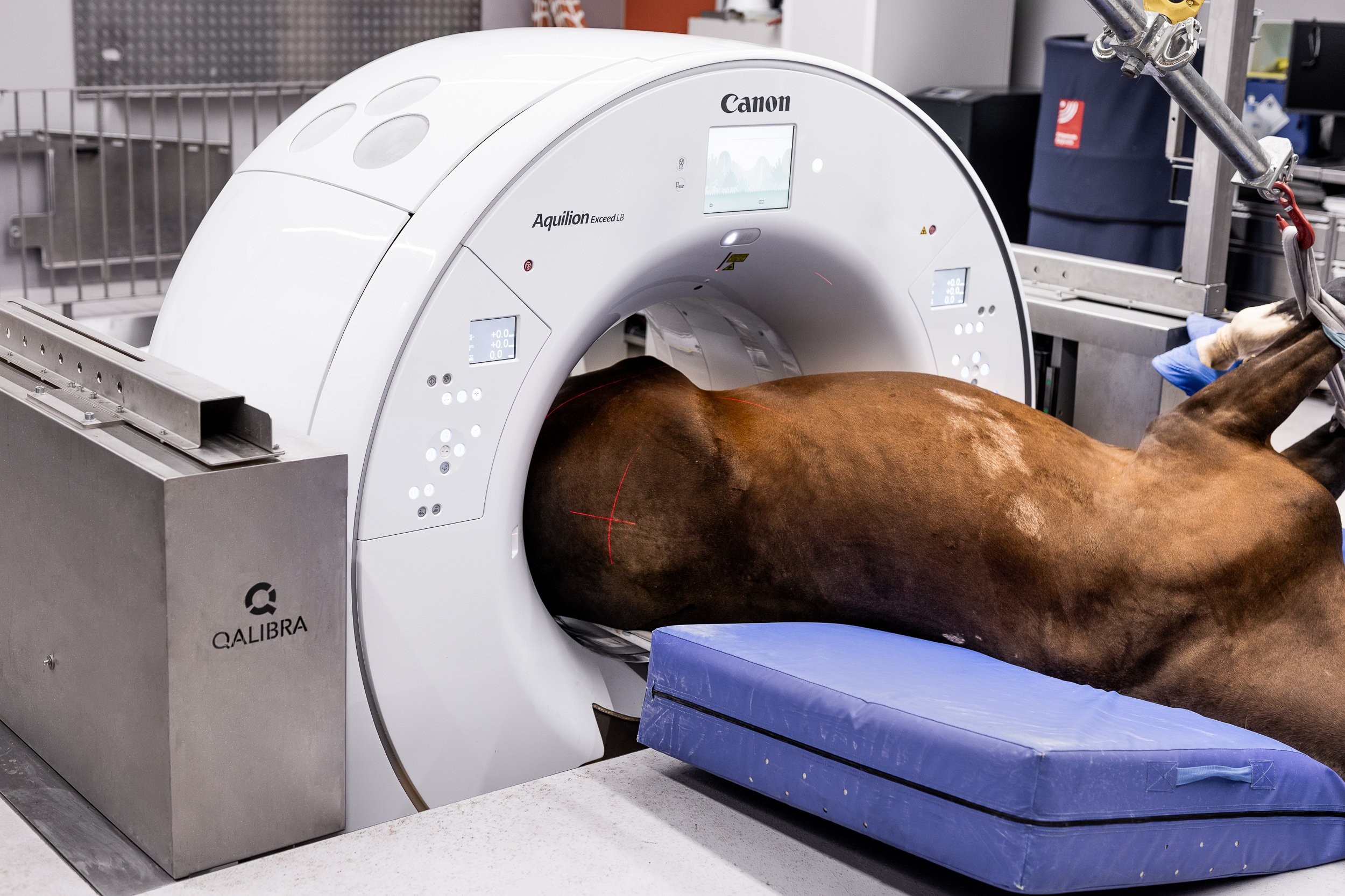 Diagnostic Imaging