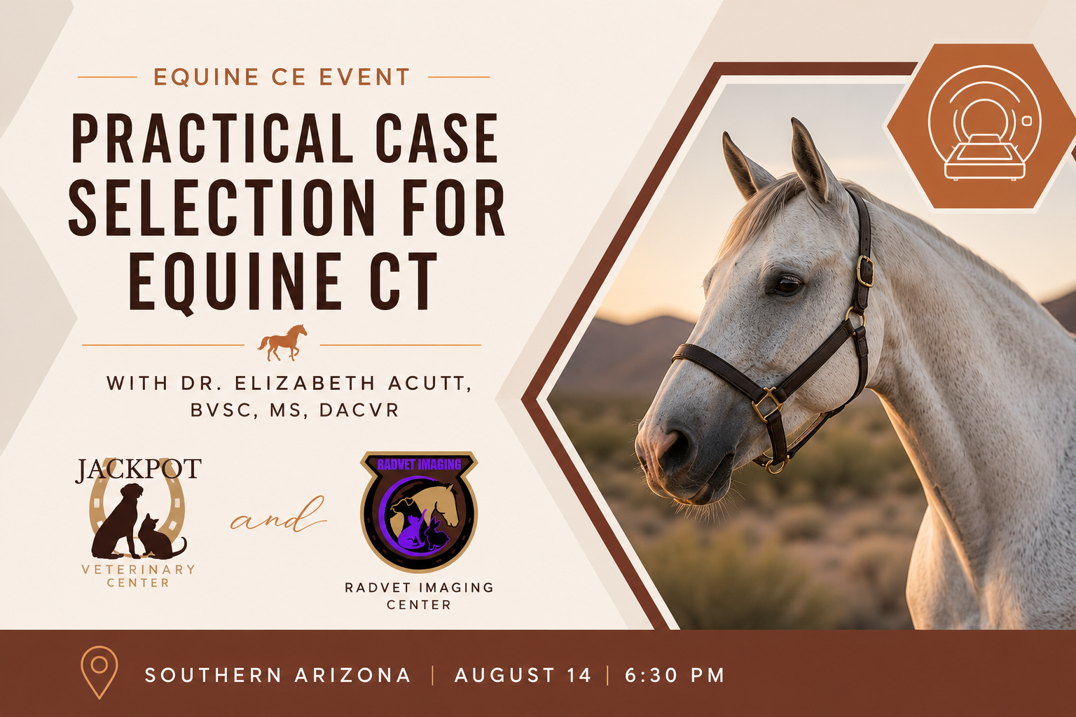 Equine CE: When Radiographs Aren't Enough: Practical Case Selection for Equine CT