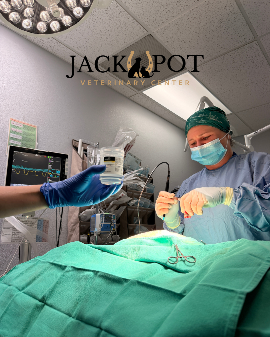 Preparing for Your Pet’s Surgery: What to Expect