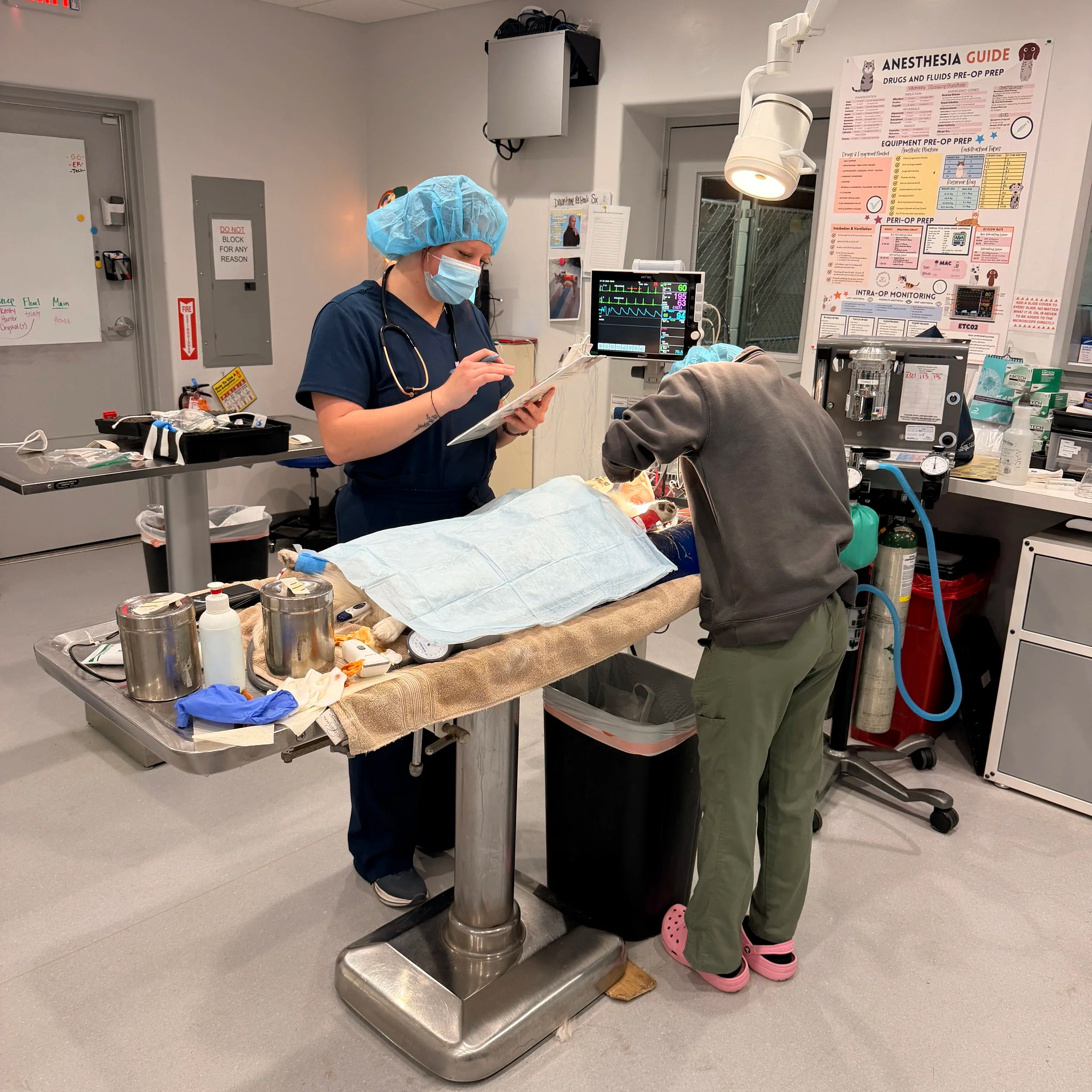 A medical scene showing a healthcare professional in scrubs, wearing a face mask and a hair cover, operating medical equipment on a patient in an emergency room or operating room. There are various medical tools, a monitor with vital signs, and a poster on anesthesia procedures visible in the background.
