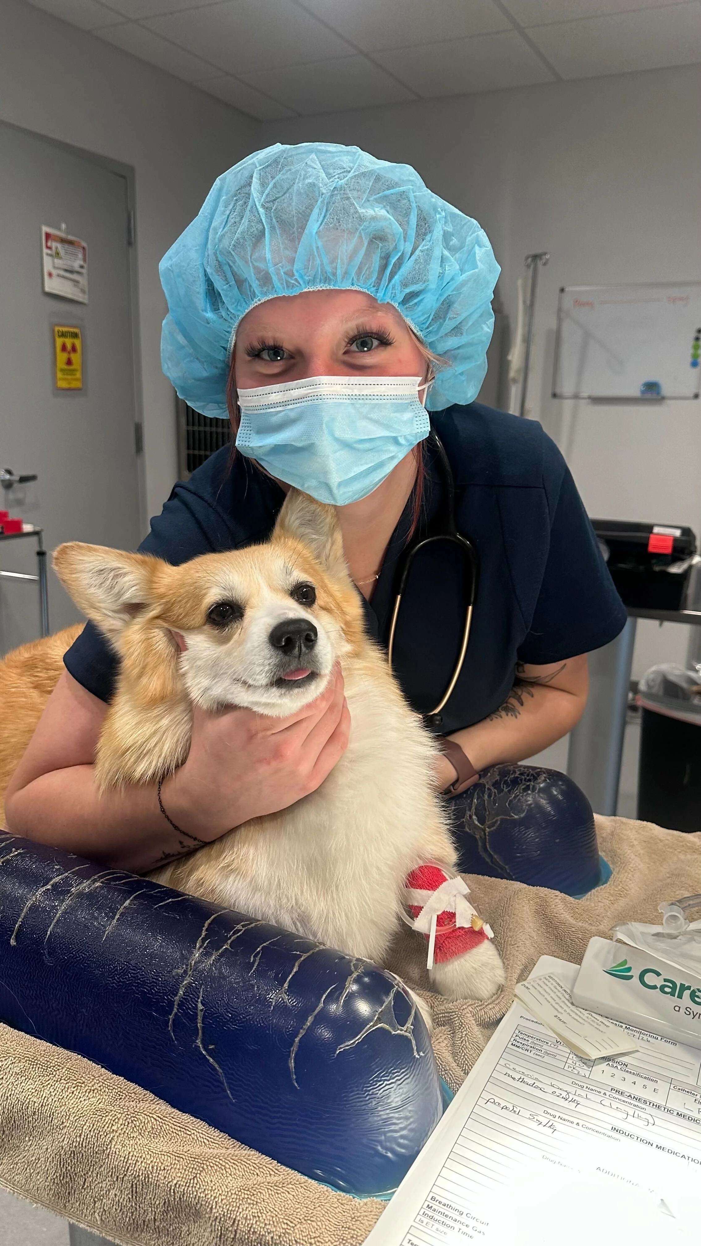 A veterinarian wearing protective scrubs, a hair cover, and a face mask, holding a small dog in a medical setting, with medical equipment and documents visible in the background.