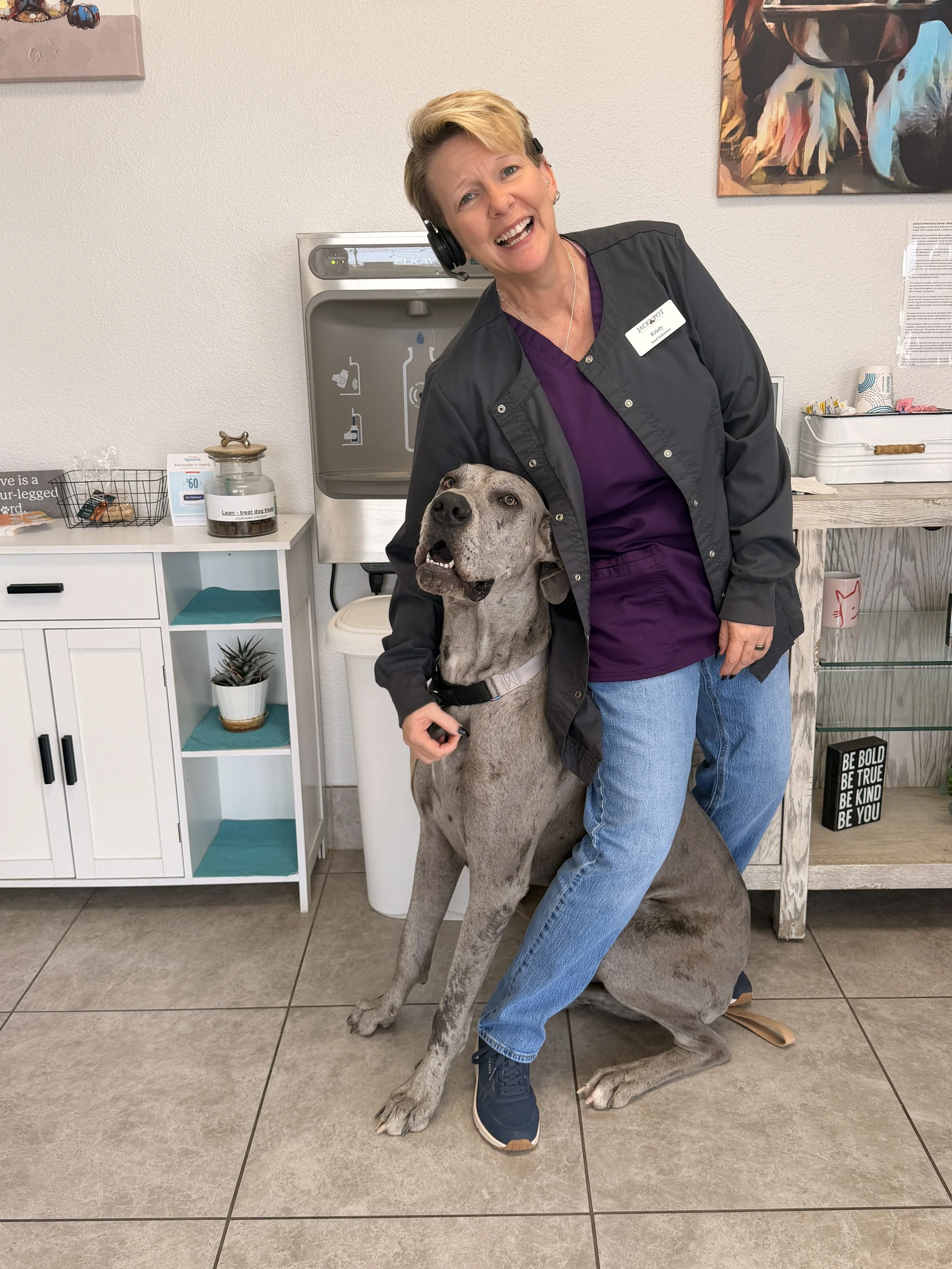 A woman with short blonde hair, wearing a headset, black jacket, and purple scrubs, is standing beside a large gray Great Dane dog in a veterinary clinic. The dog is sitting with its head tilted slightly, and the woman has her arm around the dog's ne