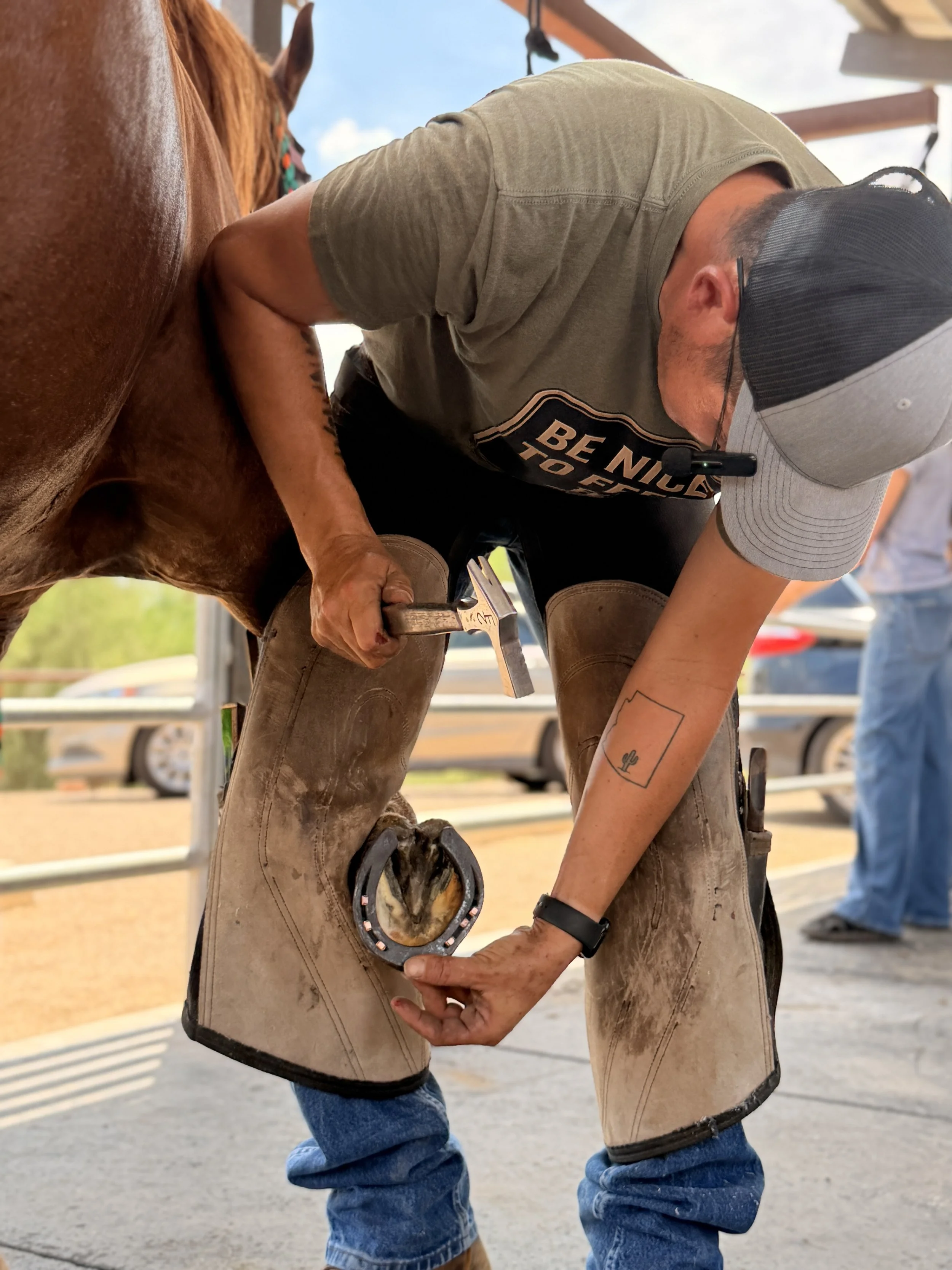 A farrier repairing a horse's hoof with a rasp, standing outdoors near a horse wearing colorful tack, with a metal railing and other people in the background.