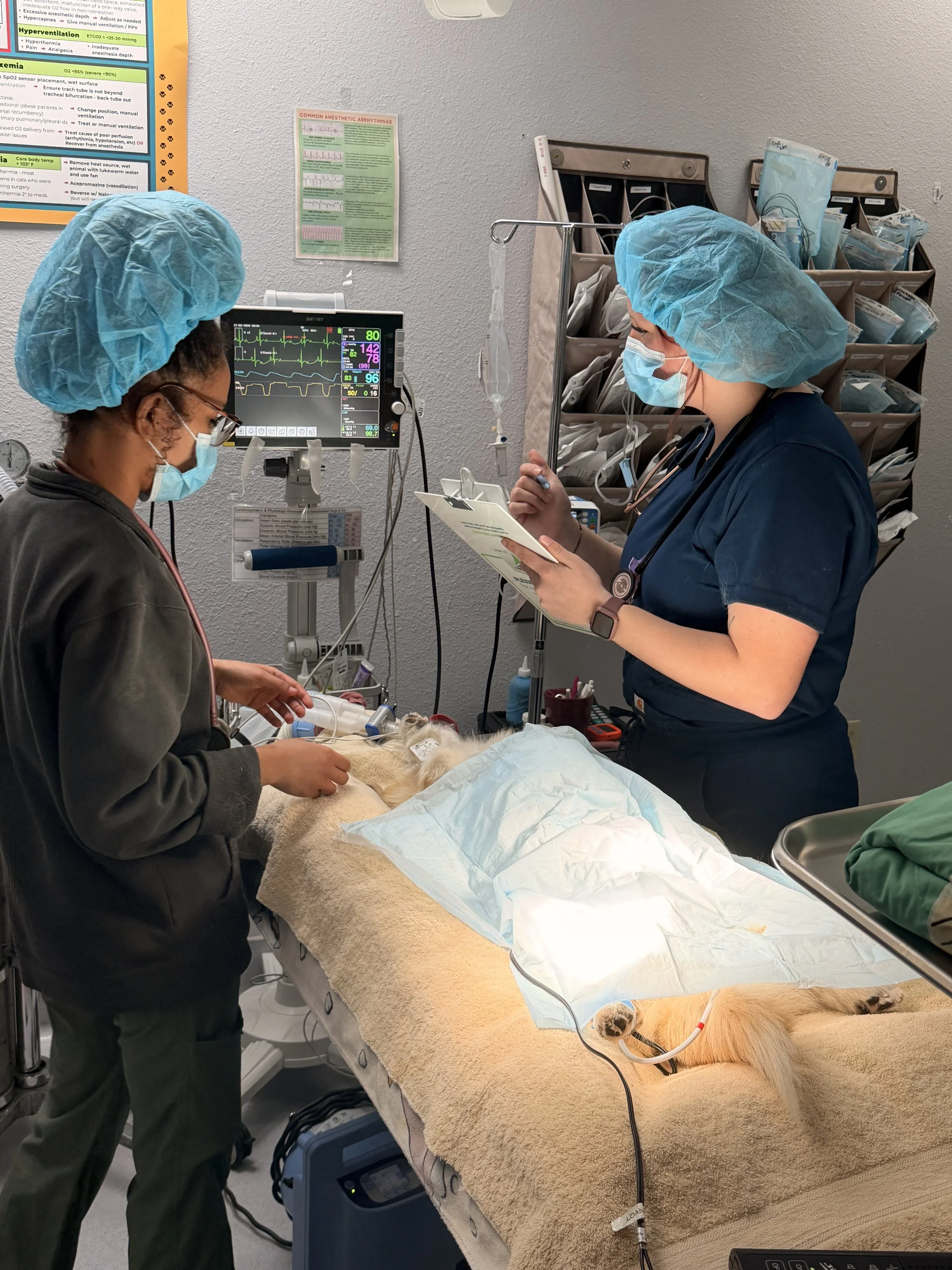 Two veterinary professionals, both wearing blue surgical caps and masks, are attending to a patient dog lying on an examination table covered with a beige towel. One professional is holding a medical device and working near the dog, while the other looks at a clipboard. Medical equipment and supplies are visible around them in the clinic.