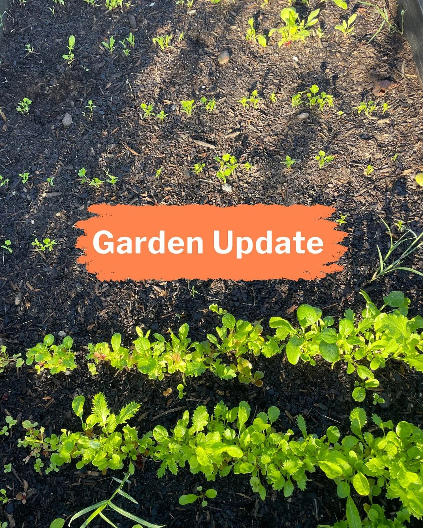 Exciting news from our Village! Iron Village Prep has been awarded 10 cubic feet of soil through Coast of Maine’s Growing Good program, in partnership with Sneed’s Nursery right here in Richmond. 🌱
With raised beds arriving this week