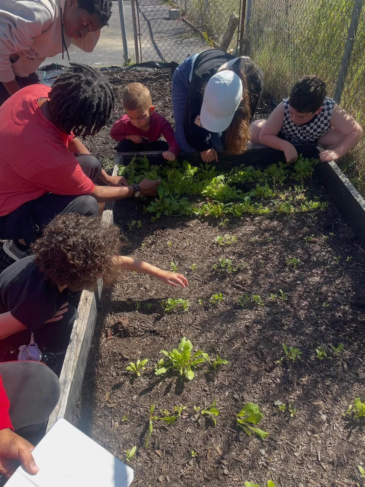 National Farmer's Day was on Sunday, and we’re still celebrating our favorite farmer— @healinghopeurbangardens 
Thank you for helping our IVP students dig in, learn, and grow! 🌱
#IronVillagePrep #IronVillage #IronVillageFamily #Commu