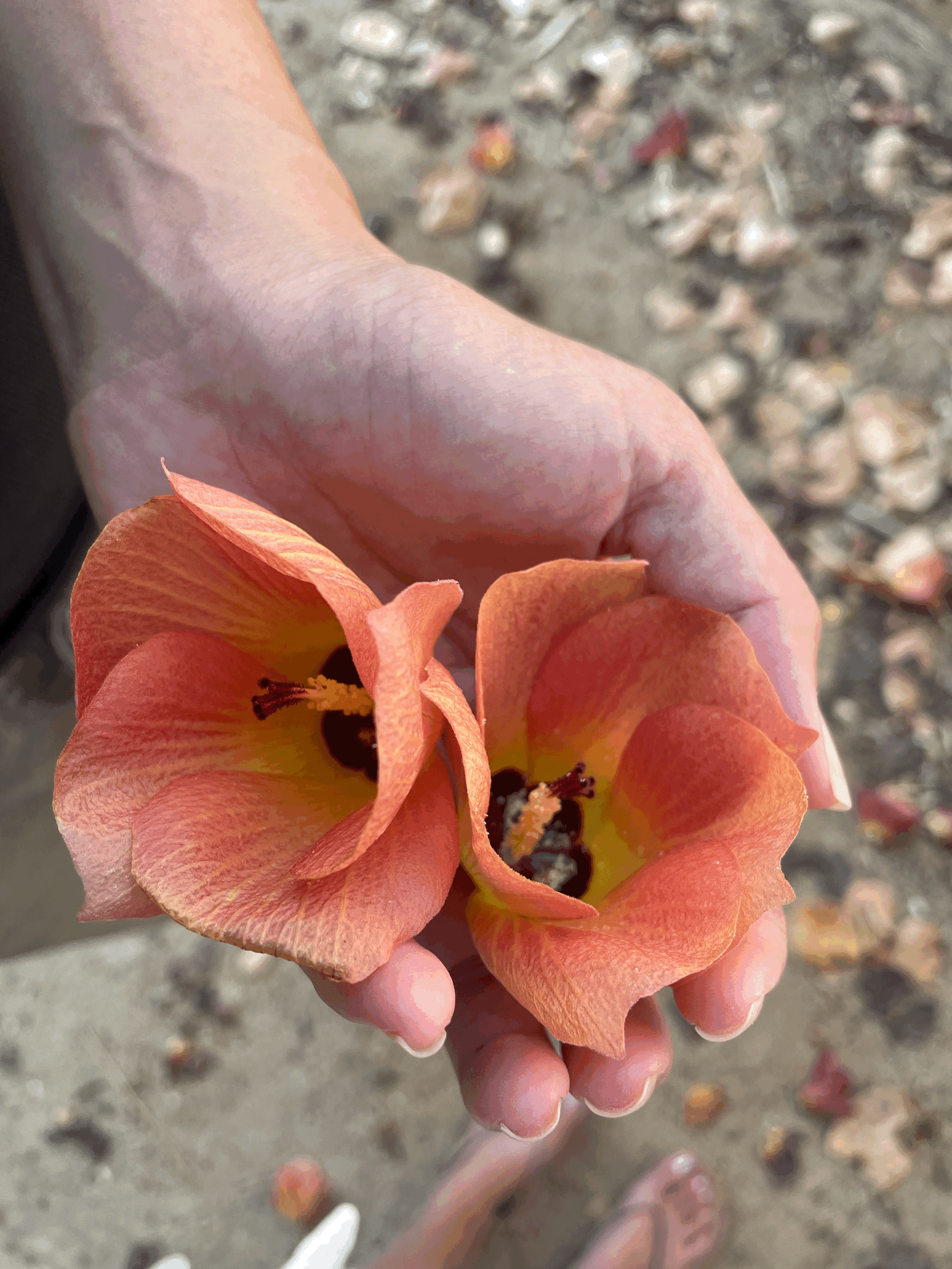 The Power of Intention: How Small Changes Can Shift Your Energy