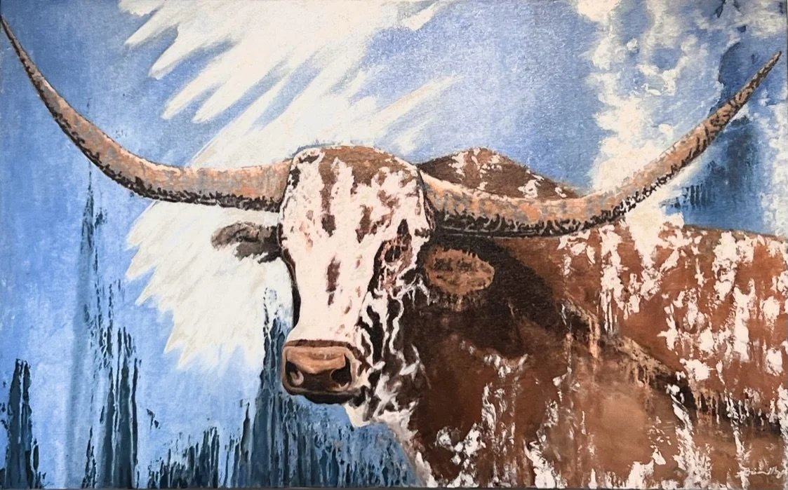 "Texas Longhorn D'Lux" 48" x 30'