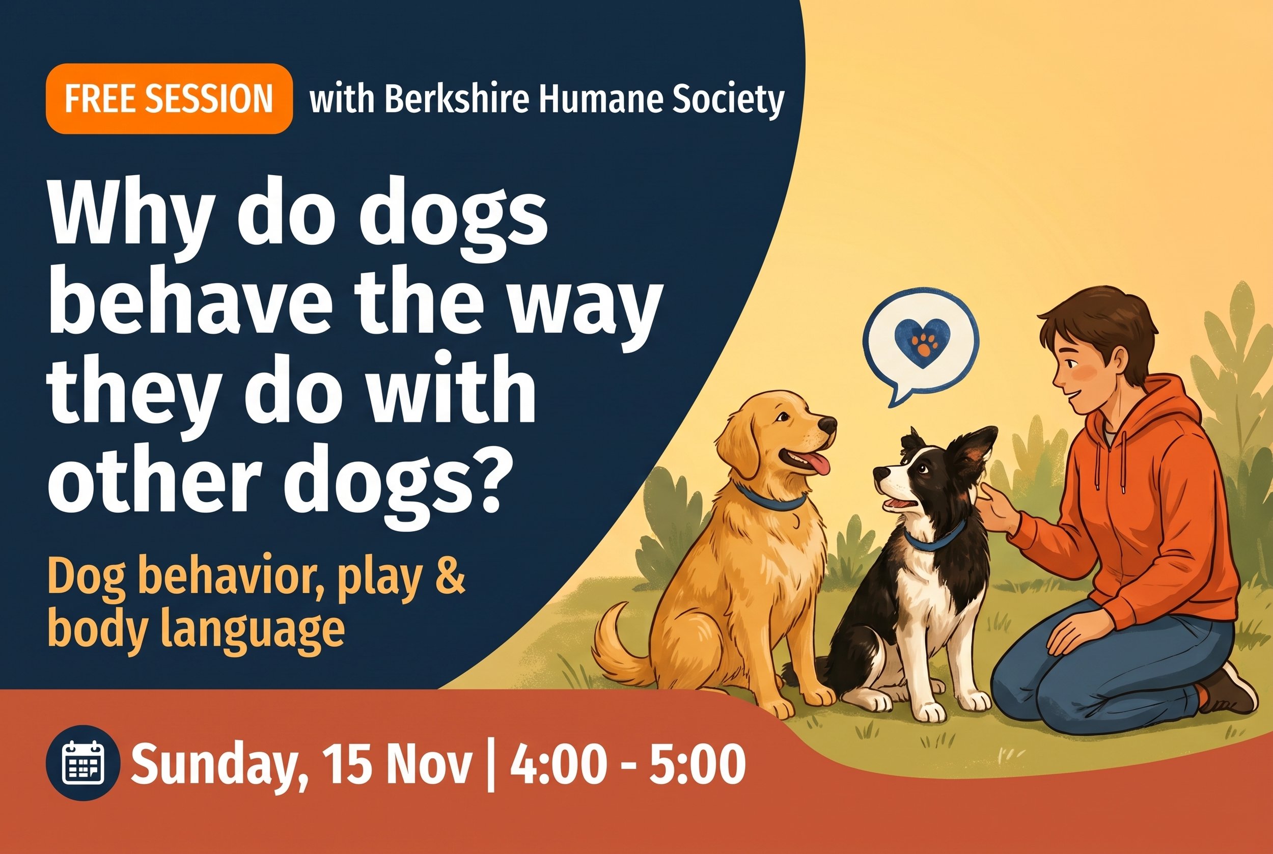Free Training: Why do dogs behave the way they do with other dogs?