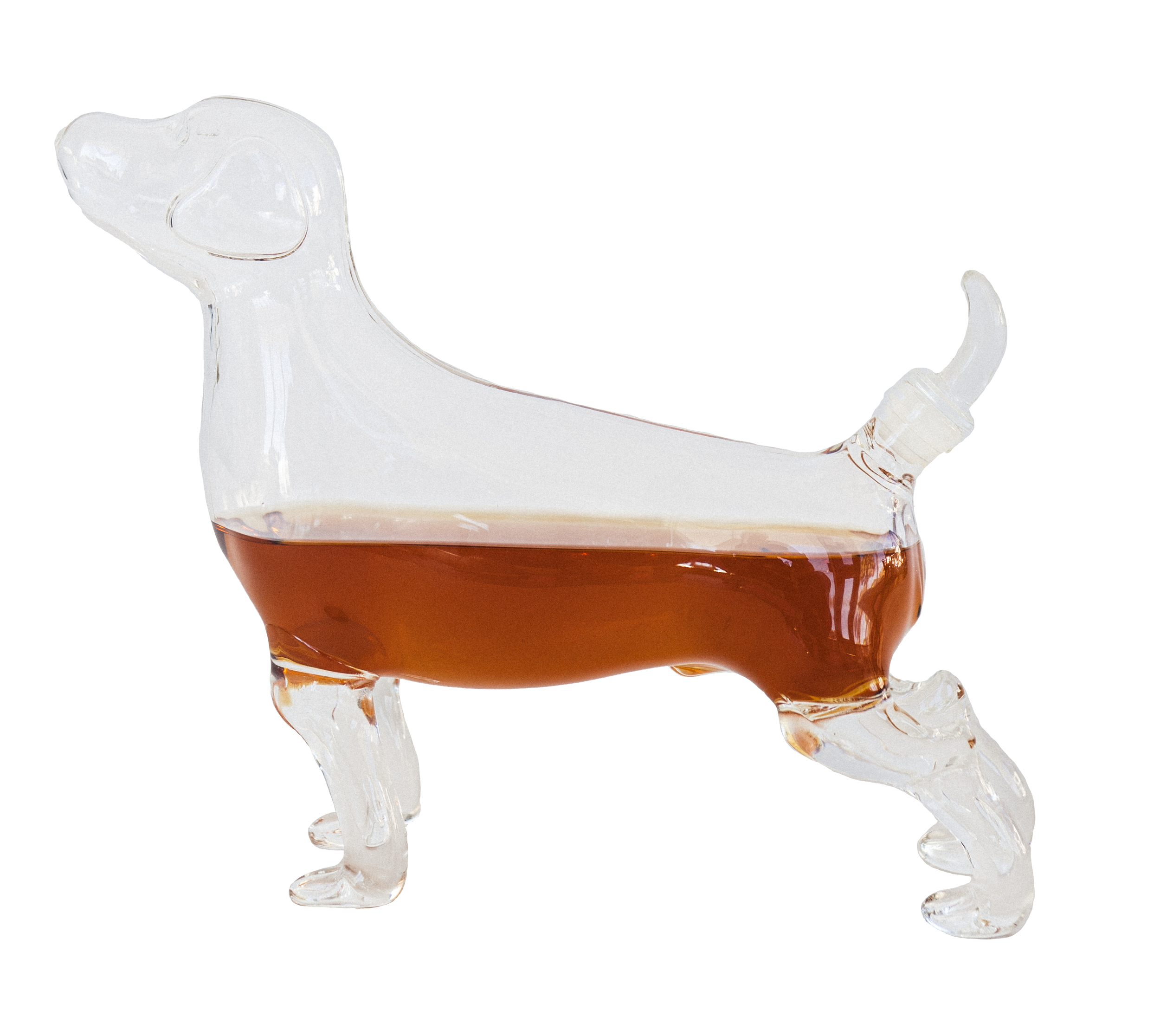 scoutandtag_dog.png