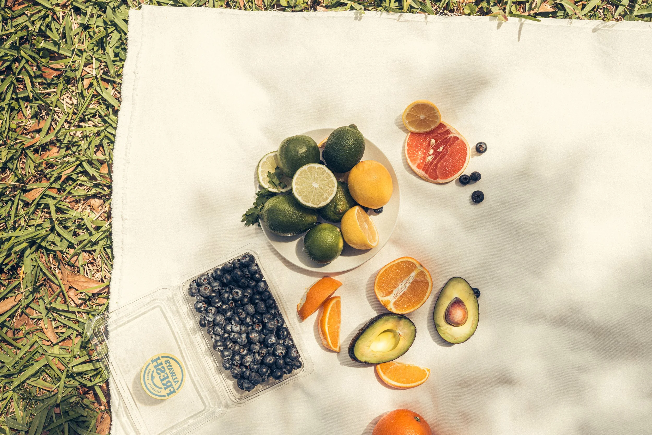 Assorted fruits on a blanket laid on the grass.