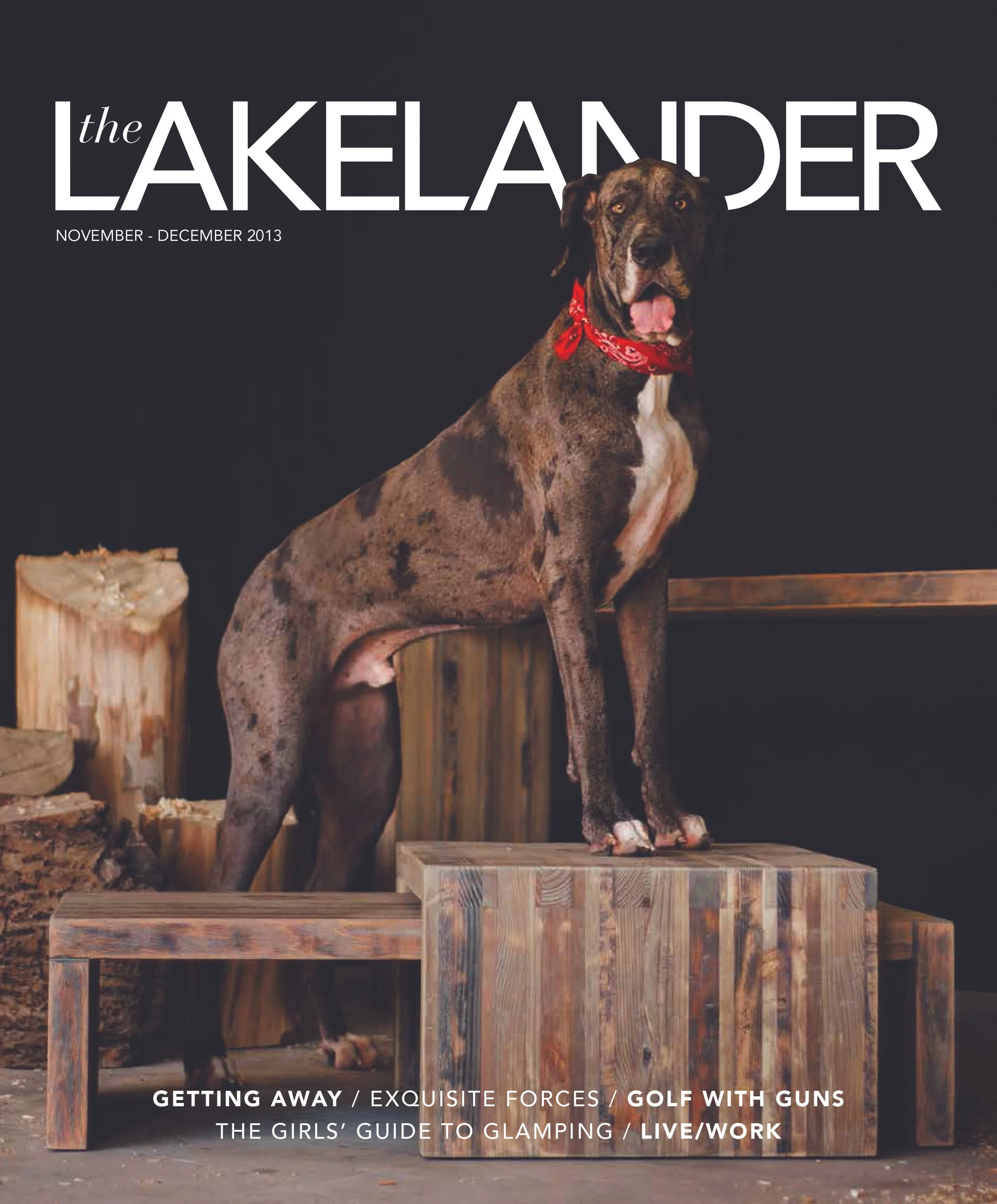 The Lakelander Issue 8