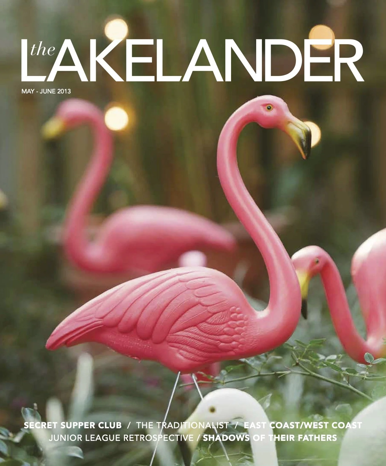 The Lakelander Issue 5