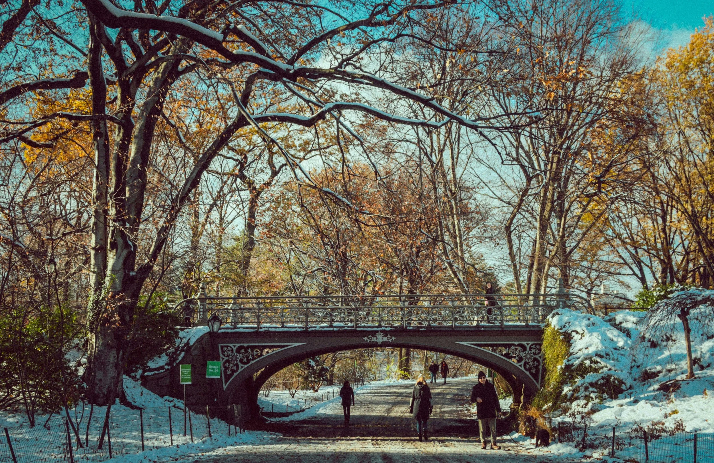 When Winter Feels Heavy in NYC: Unpacking Seasonal Depression with a Therapist for Young Adults in Manhattan