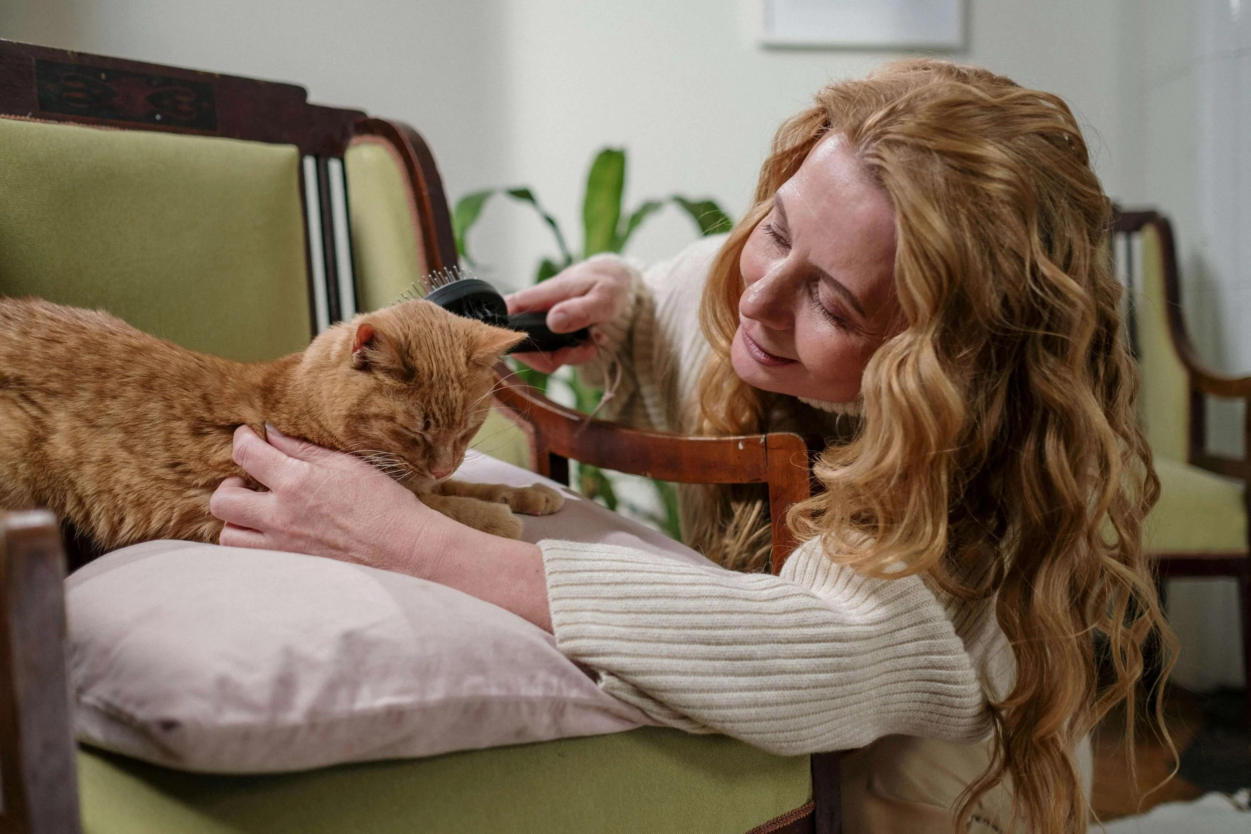 Woman brushing her orange cat, showing a moment of joy and relaxation supported by therapy for emotional regulation in Manhattan.