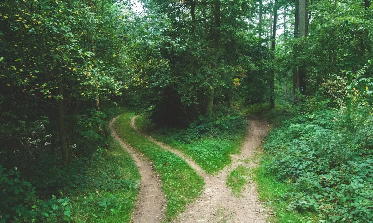 The Road Not Taken