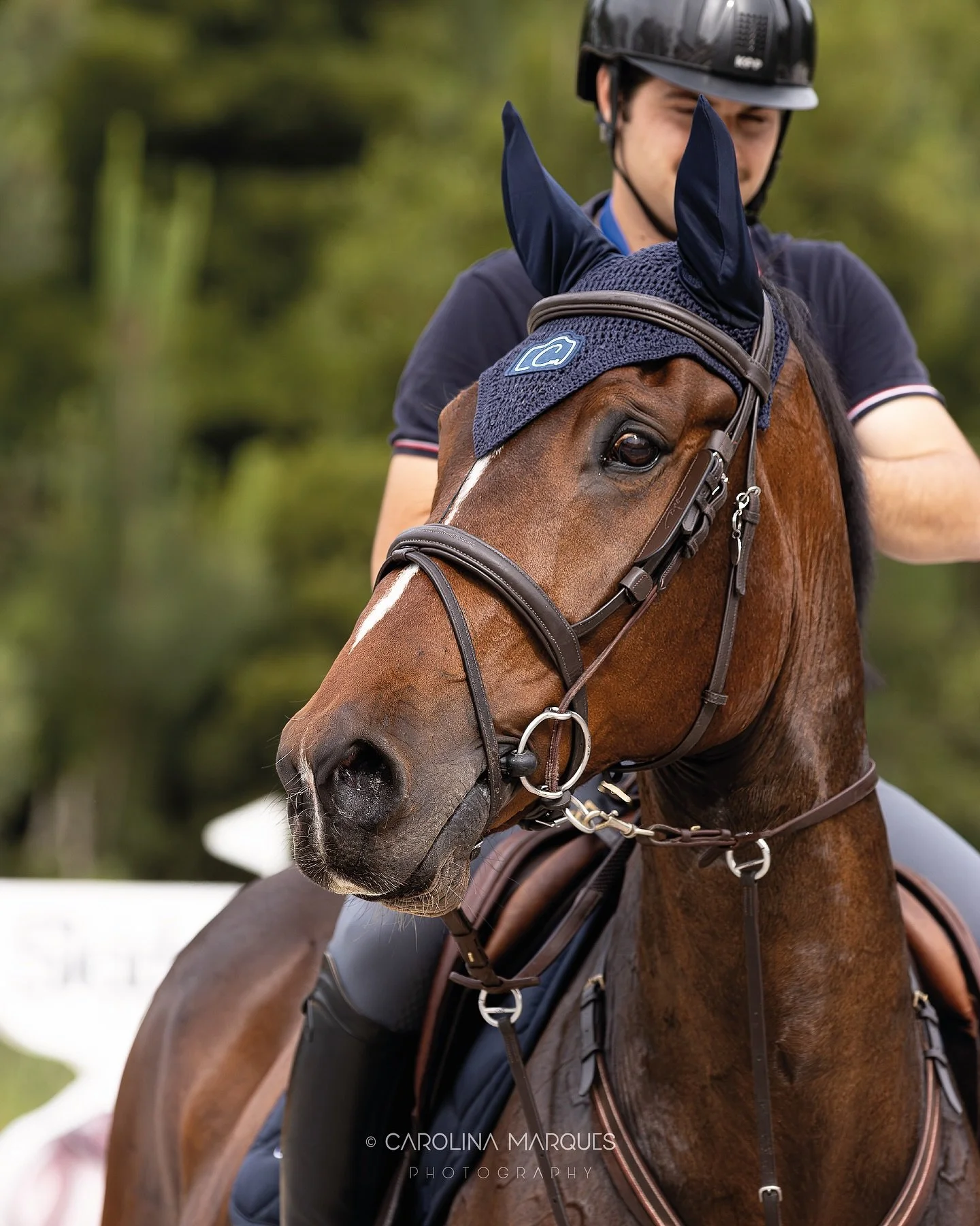 Out of all the pictures I&rsquo;ve ever taken so far, these are definitely the most special to me 🫶🏼

Story time:

As many of you know, my connection to horses goes far beyond photography 📸

I&rsquo;ve been a rider since an early age. More recentl