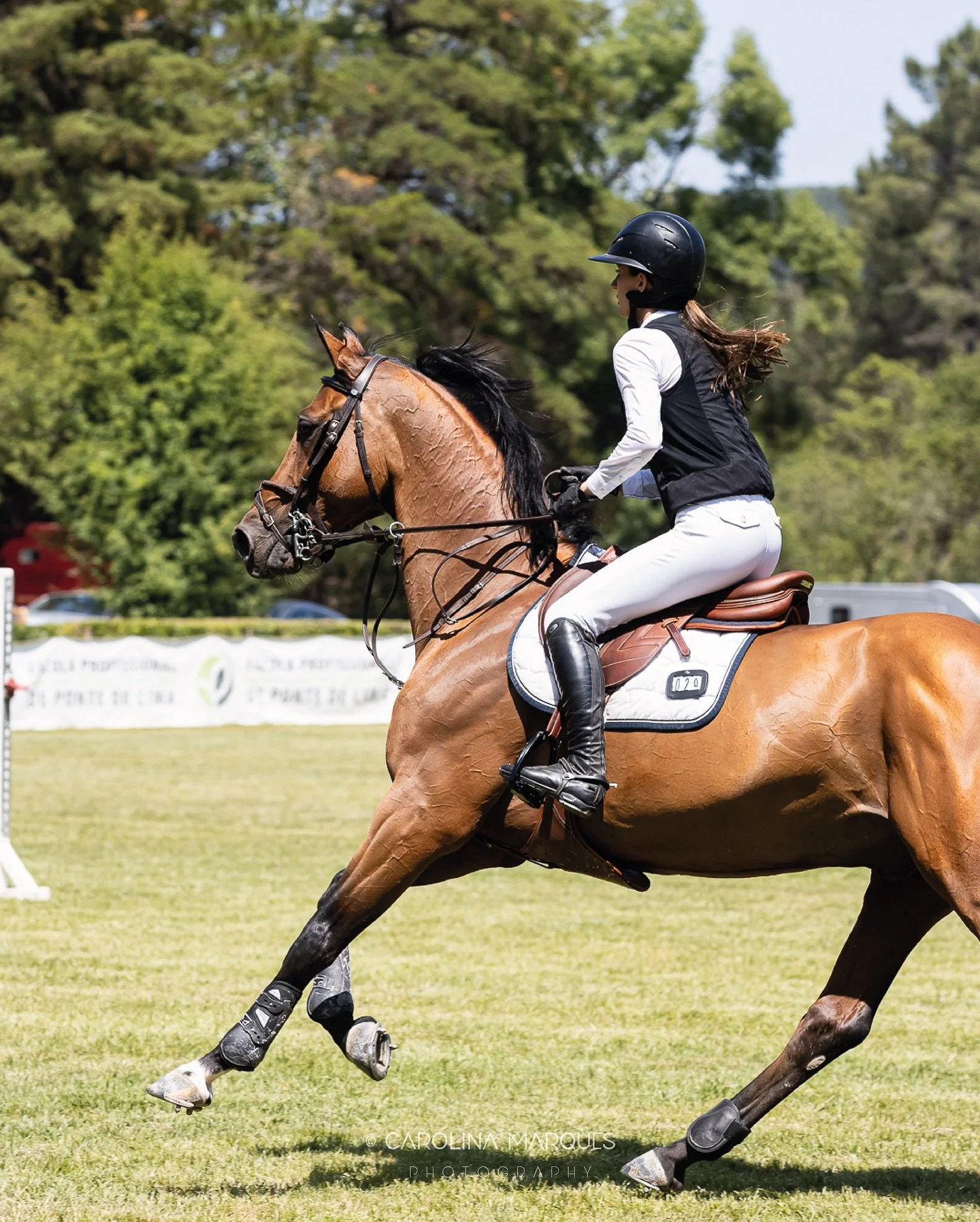 Step back. Think twice. Come back stronger 😎
__________

CSI 2* Pedras Salgadas
Portugal Horse Tour &bull; 3rd leg

Centro H&iacute;pico de Pedras Salgadas
📍 @csipedrassalgadas 

&copy; Carolina Marques
[ 6-8 junho 2025 ]

#cmp_equestrian
#cmarques